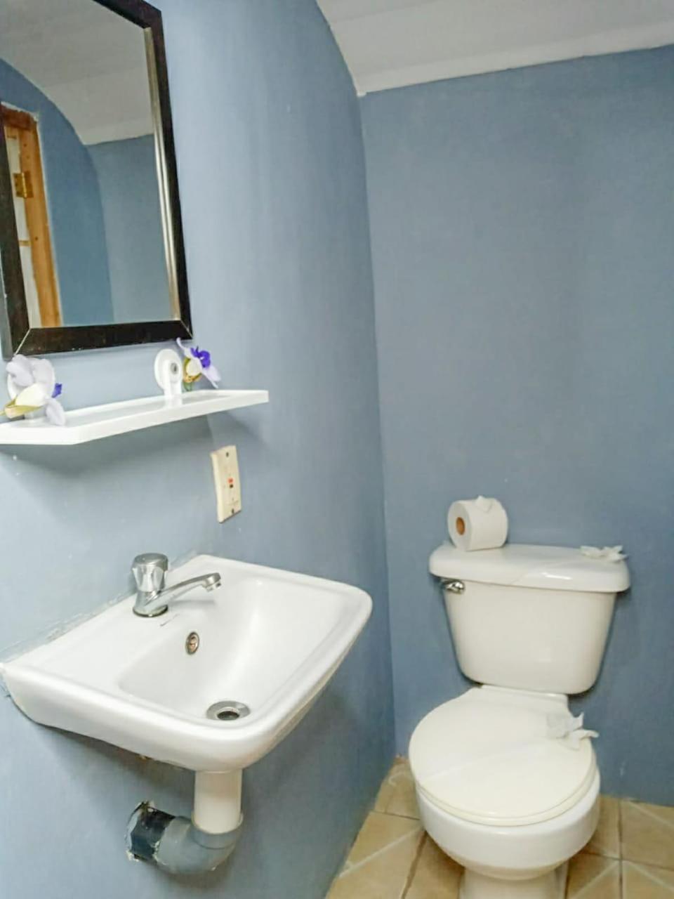 Apartamento Hospedaje Combi Dream Bird Playas del Coco Exterior foto